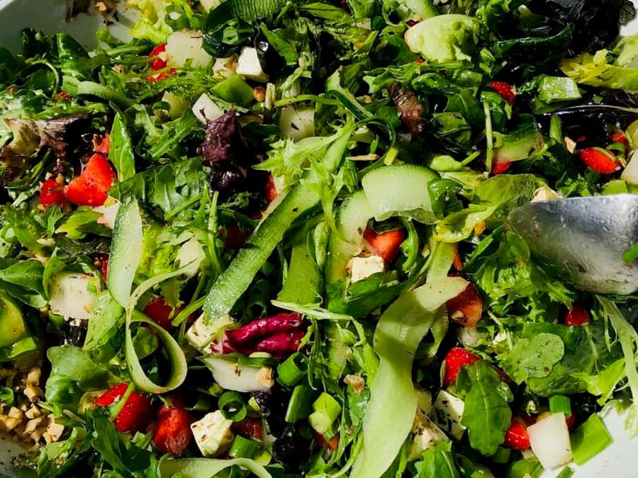 Er det sunt å være vegetarianer?