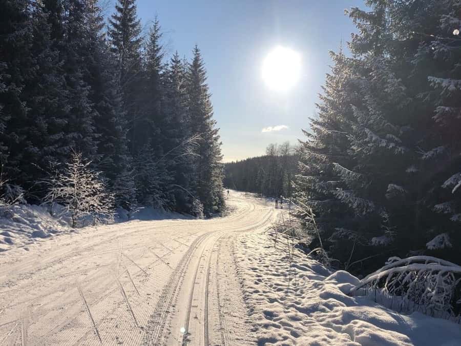 Har pandemien påvirket din psykiske helse?