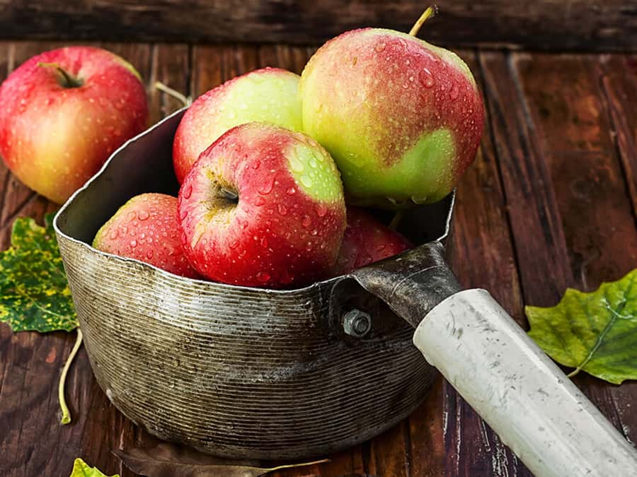 Høsten er raus på frukt og bær