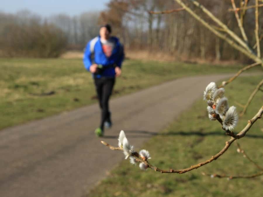 Pollen til besvær!