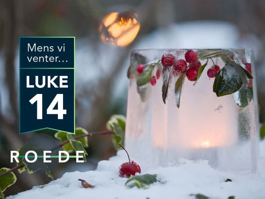 Mens vi venter… luke 14 – lage islykt
