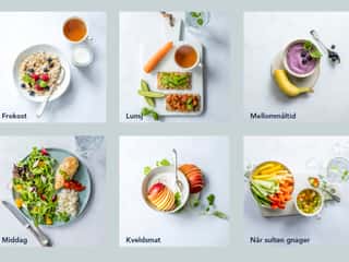 Hva er Roede Balansert?