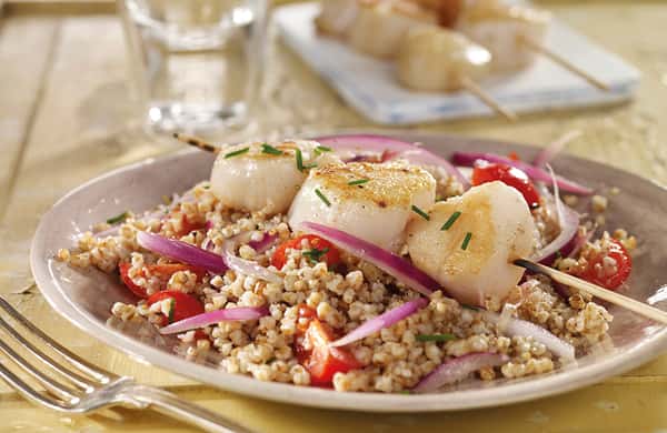 Grillet kamskjell med byggrynsalat